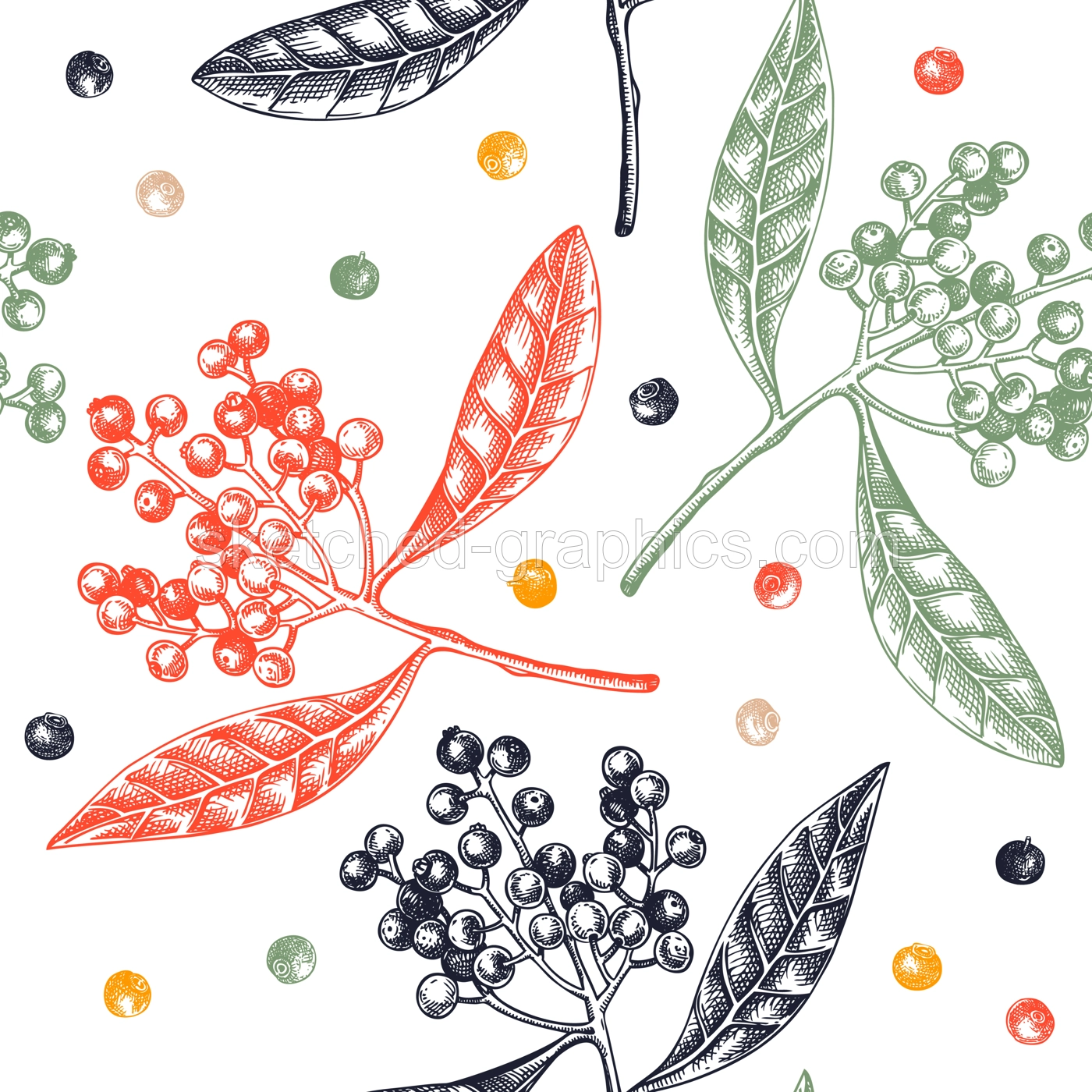 Allspice seamless pattern Kitchen spice sketches. Mexican herb and spice background. Hand-drawn vector illustration. NOT AI generated Illustration